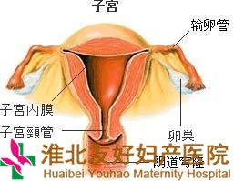 妇科检查前注意事项有哪些